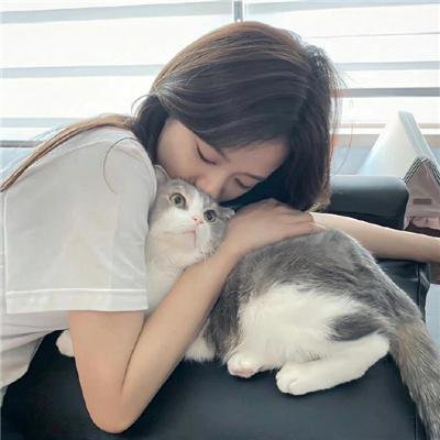 北好莱坞